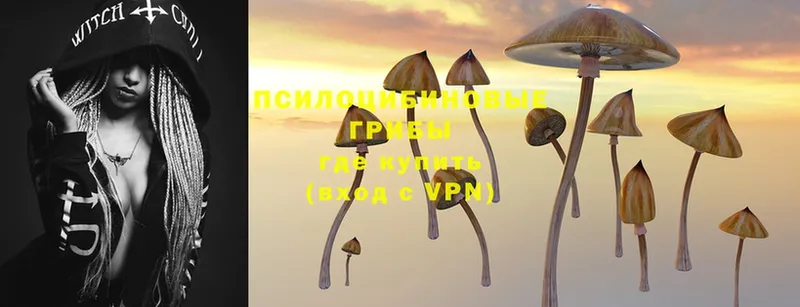 Галлюциногенные грибы Magic Shrooms  Сосновка 